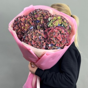 Букет из 5 космических Голландских гортензий в Коломне