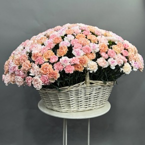 Композиция в корзине из 251 диантуса микс в Коломне