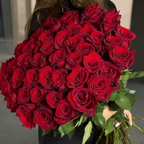 Букет 51 роза Эквадор Эксплорер (60 см) в Коломне