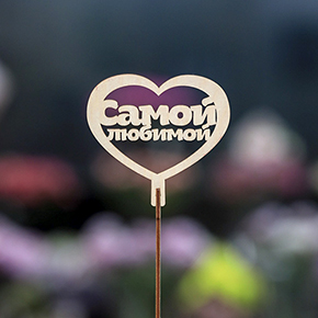 Топпер Самой Любимой в Коломне