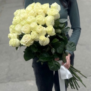 Монобукет из 25 роз Эквадор Мондиаль (80 см) в Коломне