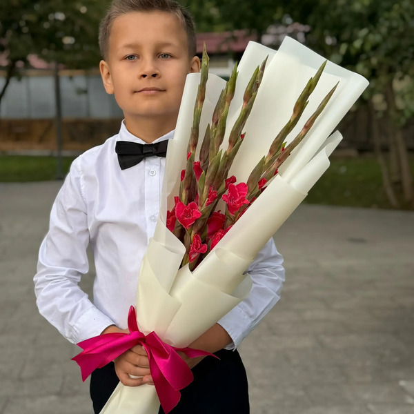 Букет на 1 сентября из 7 малиновых гладиолусов в Коломне