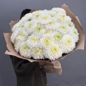 Букет из 27 хризантем Магнум в Коломне