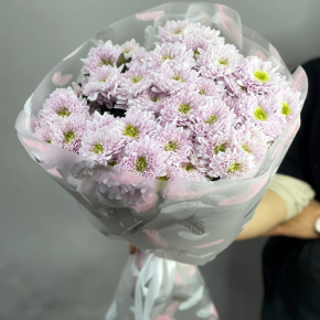 Букет "Нежный комплимент" из 9 кустовых хризантем в Коломне