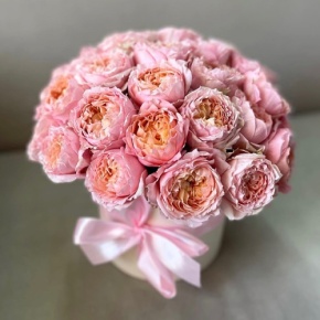 Композиция в шляпной коробке из кустовой пионовидной розы Джульетта в Коломне