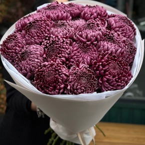 Букет 21 винной хризантемы Бигоуди в Коломне