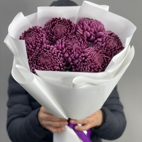 Букет "Винная легенда" из 7 хризантем Бигоуди в Коломне