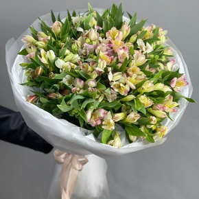 Букет "Зарина" из 37 альстромерий микс в Коломне