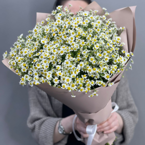 Букет из 17 полевых ромашек в Коломне