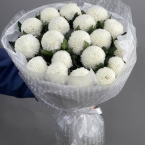 Букет "Сливки" из 19 хризантем Момоко в Коломне