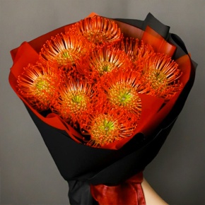 Букет из 9 лейко в Коломне