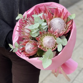 Букет из 5 протей и эвкалипта в Коломне