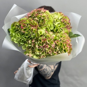 Букет из 5 голландских гортензий в Коломне