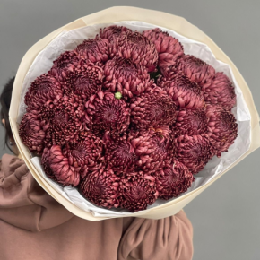 Букет 21 шоколадной хризантемы Бигоуди в Коломне