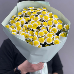 Букет "Моё солнышко" из 17 хризантем сантини  в Коломне