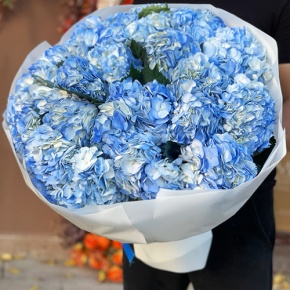 Букет из 23 синих гортензий в Коломне