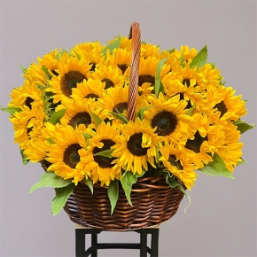 Композиция в корзине из 51 подсолнуха в Коломне
