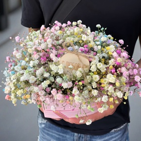 Композиция в коробке сердца из радужных гипсофил с топпером в Коломне