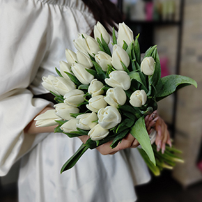 Букет белоснежных тюльпанов (25 шт) в Коломне