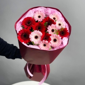 Букет "Румянец" из гербер микс в Коломне