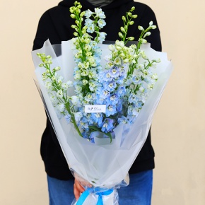 Стильный букет из 9 дельфиниумов в Коломне