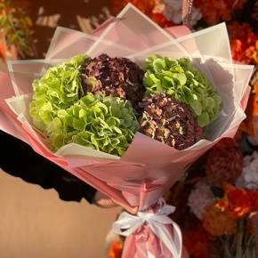 Букет из Голландских гортензий микс в Коломне