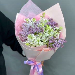 Букет из 11 веток сирени микс в Коломне