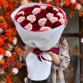 Букет "Сокровенное желание" из 25 пудровых и красных роз Эквадор (60 см) в Коломне