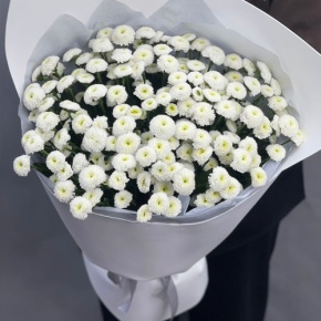 Букет "Белая дымка" из 25 хризантем сантини в Коломне