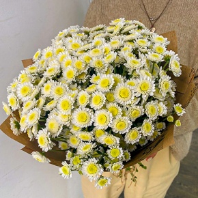 Букет "Моё солнышко" из 11 хризантем сантини  в Коломне