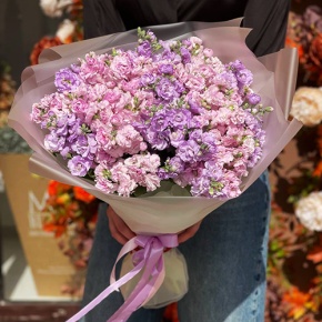 Букет из 19 ароматных маттиол в Коломне