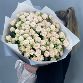 Букет из 25 кремовых кустовых роз (70 см) в Коломне