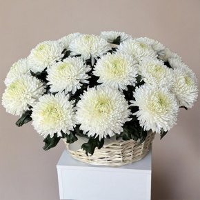 Композиция в корзине из 25 хризантем Магнум в Коломне