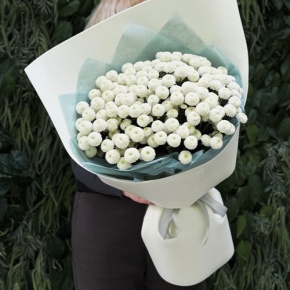 Букет из 25 хризантем Ньютон в Коломне