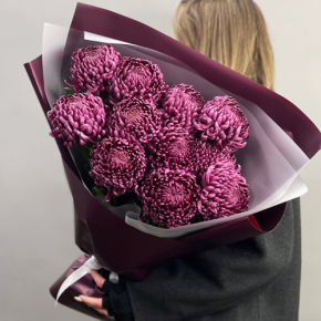 Букет "Изобилие" из 11 винных хризантем Бигоуди в Коломне