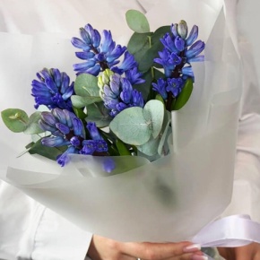 Букет "Мини" из 5 ароматных гиацинтов и эвкалипта в Коломне