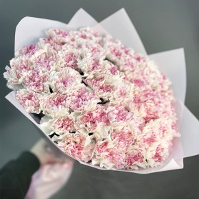 Букет 51 нежный диантус в Коломне