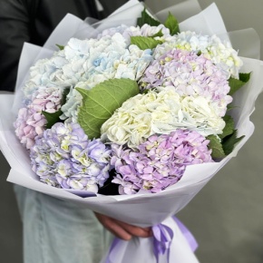 Букет из 9 Голландских гортензий микс в Коломне