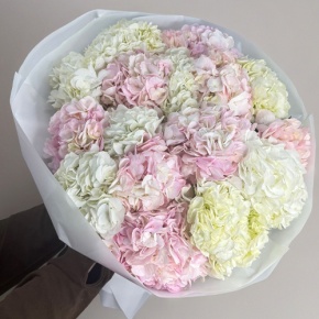 Букет из 17 нежных гортензий в Коломне