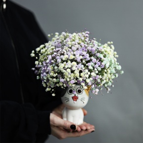 Композиция из гипсофил в керамическом кашпо в Коломне