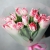 Букет "Фламинго" из 11 пионовидных тюльпанов в Коломне Букет "Фламинго" из 11 пионовидных тюльпанов в Коломне