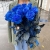 15 синих LUX роз Эквадор (70 см) в Коломне 15 синих LUX роз Эквадор (70 см) в Коломне