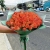 Букет из 51 мандариновой розы (40 см) в Коломне Букет из 51 мандариновой розы (40 см) в Коломне