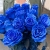 15 синих LUX роз Эквадор (70 см) в Коломне 15 синих LUX роз Эквадор (70 см) в Коломне
