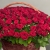 Композиция в корзине из 151 красной розы в Коломне