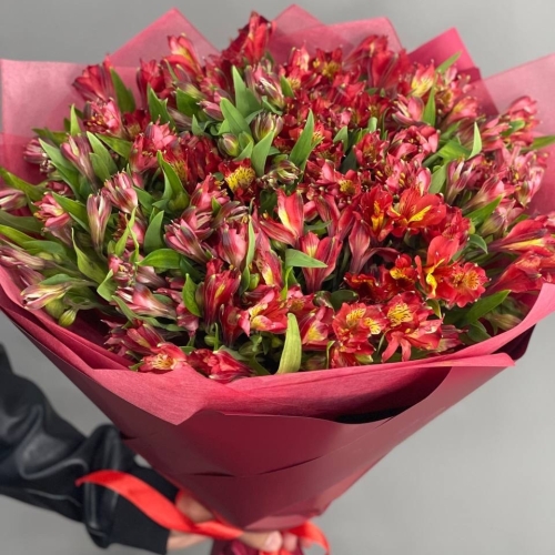 Монобукет из 25 красных альстромерий в Коломне