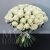 Букет 75 белых роз Эквадор Мондиаль (80 см) в Коломне