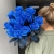15 синих LUX роз Эквадор (70 см) в Коломне 15 синих LUX роз Эквадор (70 см) в Коломне