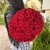 Букет 51 красной розы 50 см в Коломне