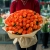 Букет 101 огненная Кенийская роза (40 см) в Коломне